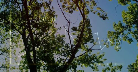 Nature and Data: Ecological Growth Insights