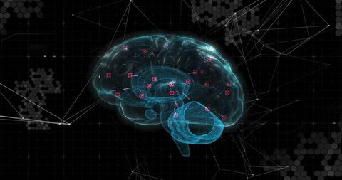 Digital Brain Network with Data Exchange on Dark Background - Download Free Stock Images Pikwizard.com