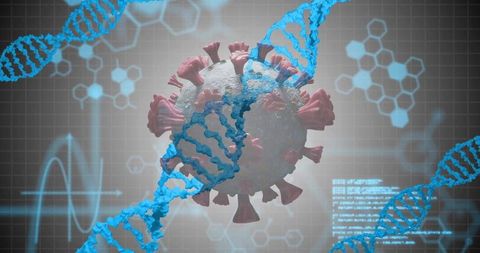 Virus representation with dna strands in digital lab interface