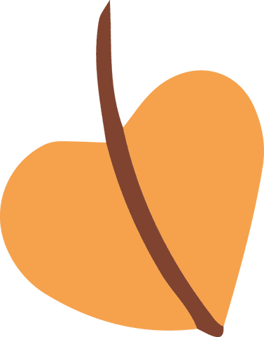 Flat Design Peach Fruit with Brown Seam on Transparent Background - Download Free Stock Videos Pikwizard.com