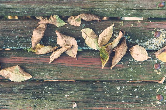 Fallen Autumn Leaves on Rustic Wooden Planks - Download Free Stock Images Pikwizard.com