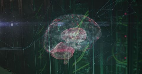 Futuristic Brain with Digital Network in Server Room - Download Free Stock Images Pikwizard.com