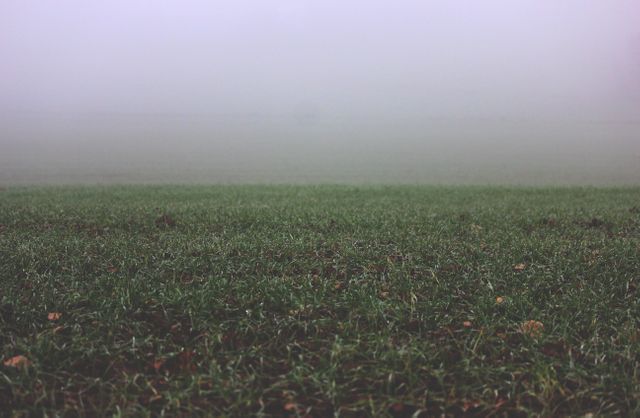 Misty morning over a grass field presents a tranquil and serene scene perfect for backgrounds in various nature-themed projects. Ideal for websites, blogs, presentations, and posters where a calm and soothing atmosphere is desired.