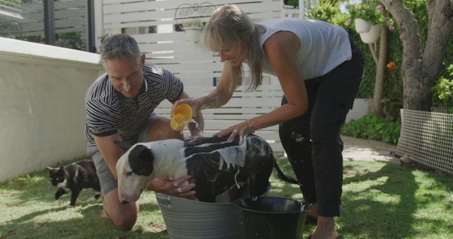 Couple bathing their dog in a metal tub outdoors on a sunny day. The man is holding and steadying the dog while the woman is pouring water over the dog's back. Their backyard has green grass and garden plants, creating a warm, inviting environment. This can be used for promoting pet care products, outdoor activities, family bonds, and home lifestyle content.