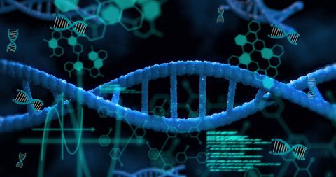 Futuristic DNA Strand with Chemical Symbols in Scientific Analysis - Download Free Stock Images Pikwizard.com