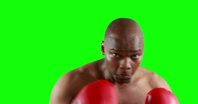 A determined boxer training with red gloves on a green screen background, ideal for fitness and sports promotions. Perfect for gym advertisements, boxing events, athletic posters, and motivational content.