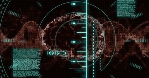 Digital Brain and Data Processing Concept - Download Free Stock Images Pikwizard.com