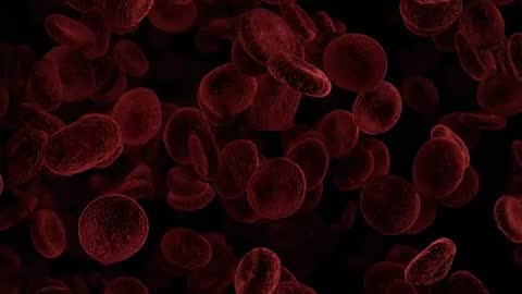 Red Blood Cells Swirling in Vessel Showing Continuous Circulation