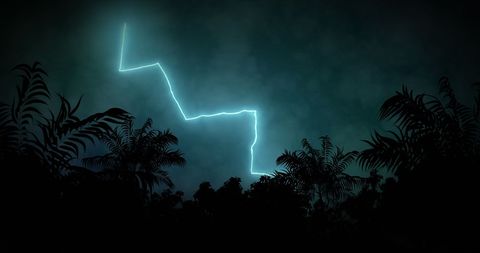 Dramatic Lightning Storm over Silhouetted Palm Trees