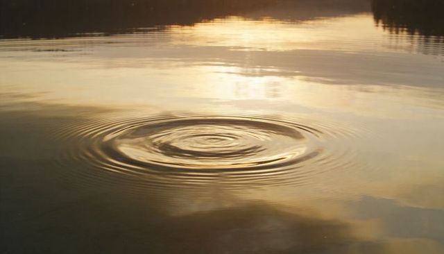 Golden sunlit ripples radiating on glassy lake surface at sunset with tree silhouette
