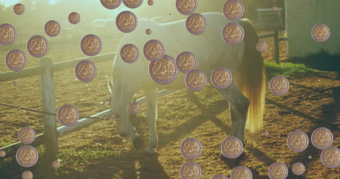 Creative Animation of Coins Over Horse in Sunlit Farm