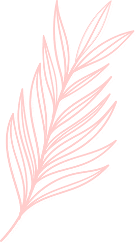 Coral pink palm leaf illustration on transparent background