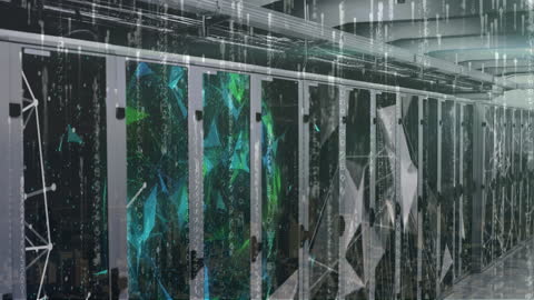 Digital Cyber Network Overlay on Data Center Servers