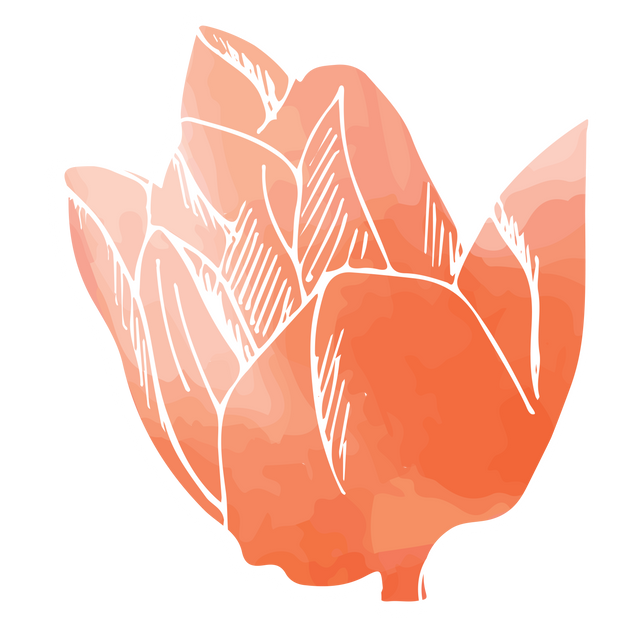 Pink Flower Transparent Vector Illustration Emphasizing Nature and Beauty - Download Free Stock Videos Pikwizard.com