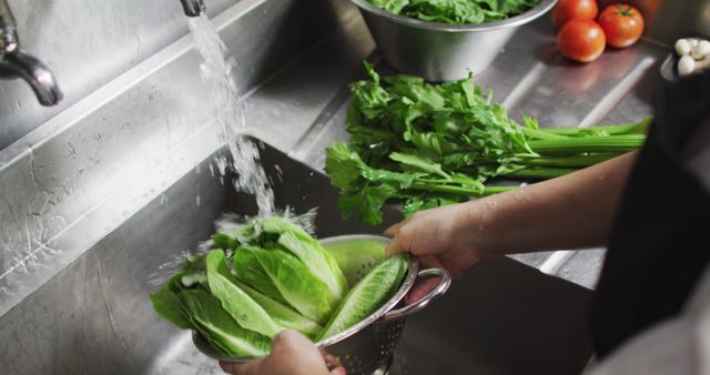Person washing fresh, green vegetables under running water in a stainless steel kitchen sink with other produce nearby. Suitable for use in health, nutrition, cooking, and kitchen hygiene content.