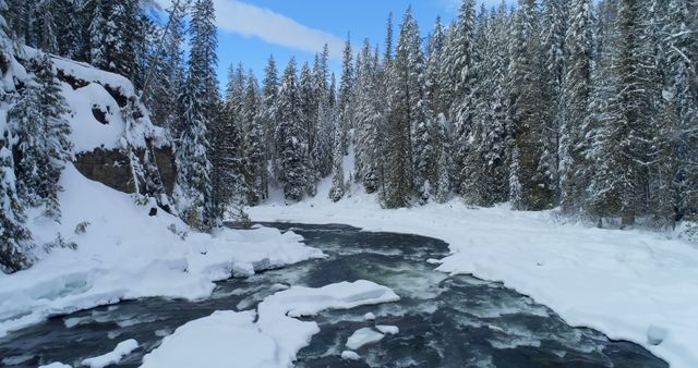 Stream flowing through snowy forest during winter 4k