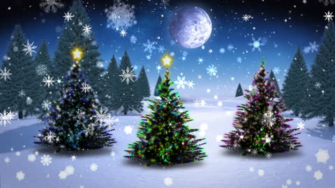 Snow Falling on Colorful Christmas Trees in Winter