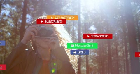 Photographer Framing Scene in Sunny Pine Forest with Notifications