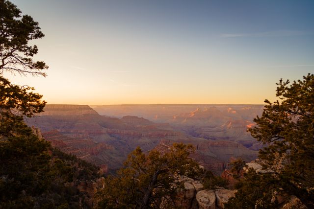 Grand Canyon illuminated by vibrant colors during sunset, framed by trees. Ideal for travel brochures, nature magazines, or wall art focusing on awe-inspiring landscapes and outdoor adventure.