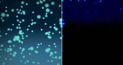 Split-panel bokeh background with teal and blue neon orbs creating duotone contrast
