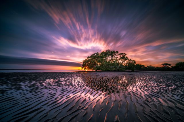 Dramatic Sunset Over Coastal Mangrove Trees - Download Free Stock Photos Pikwizard.com