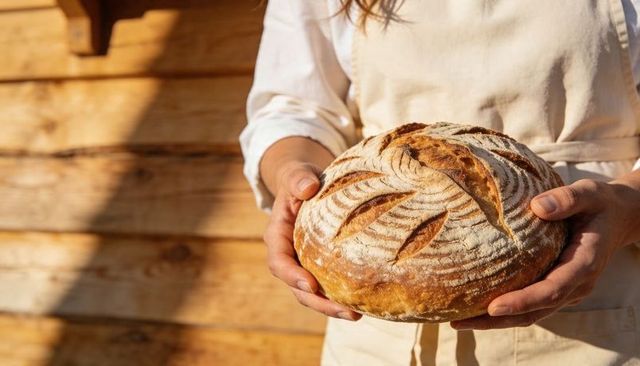 Holding rustic sourdough loaf by baker in cream apron with wooden wall background