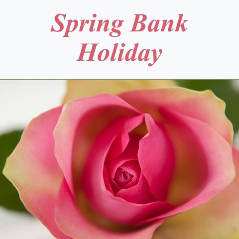 Spring bank holiday text with pink rose close-up