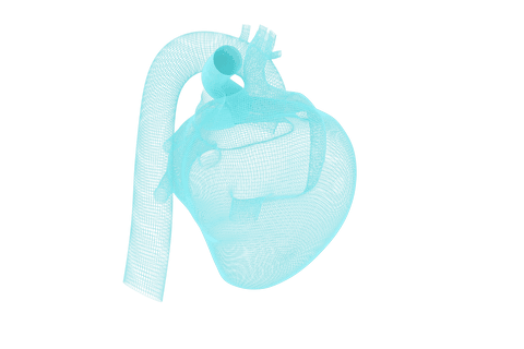 transparent 3d heart mesh vector illustration - Download Free Stock Videos Pikwizard.com