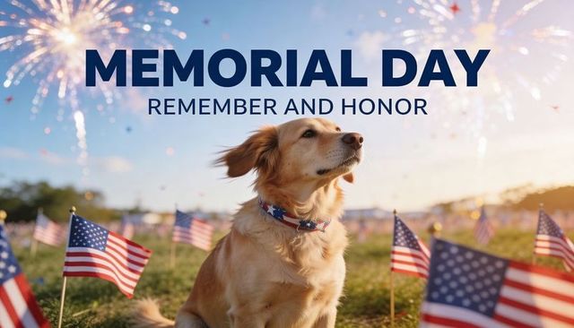 Memorial day tribute remembering and honoring fallen heroes with golden retriever and flags