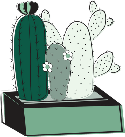 Green cactus illustration on transparent background