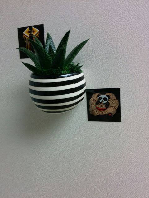 Magnetized planter with a striped black and white pot, affixed to a refrigerator along with various magnets. The small green succulent adds a pop of nature and life to the kitchen space. This image could be used for articles or content related to indoor decorating ideas, home organizing tips, or plant care instructions, especially in small or non-traditional spaces. Ideal for use in decorating magazines, home and garden blogs, or social media posts about creative interior design solutions.