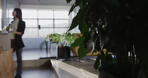 Colleagues Discussing Project in Open Office with Greenery