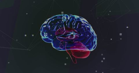 Futuristic 3d digital brain illustration with data connections