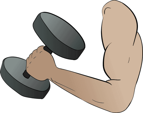 Vector Silhouette of Arm Lifting Dumbbell with Transparent Background - Download Free Stock Videos Pikwizard.com