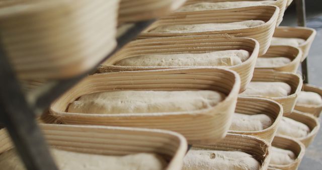 Close-up of Artisan Bread Dough in Baskets Ready for Baking - Download Free Stock Images Pikwizard.com