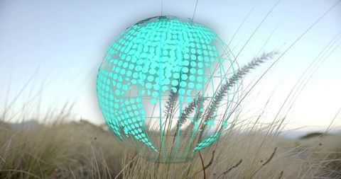 Holographic Digital Globe in Natural Grassland Setting