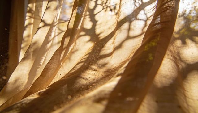 Sunlit sheer curtains casting tree branch shadows and floating dust motes in warm interior