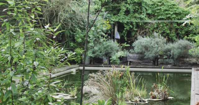 Close up of sunny garden with plants and pond, slow motion. Lifestyle, wellbeing in nature and domestic life, unaltered.