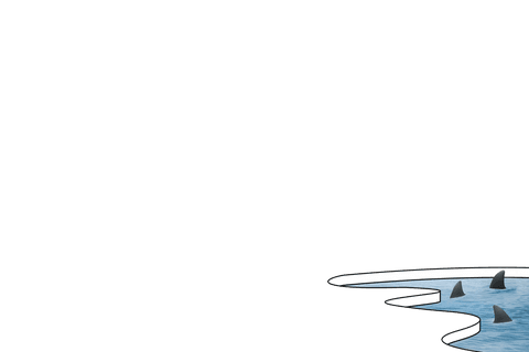 dangerous shark fins emerging from icy waters on transparent background - Download Free Stock Videos Pikwizard.com