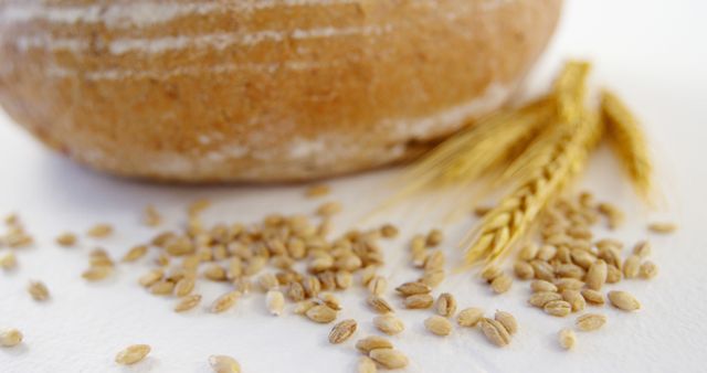 Close-up of Wheat Grains and Freshly Baked Rustic Bread - Download Free Stock Images Pikwizard.com