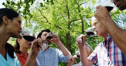 Diverse Group Enjoying Outdoor Wine Tasting Event Among Trees - Download Free Stock Images Pikwizard.com
