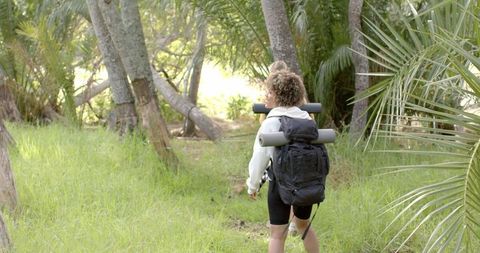 Traveler Exploring Lush Forest Serenity with Backpack