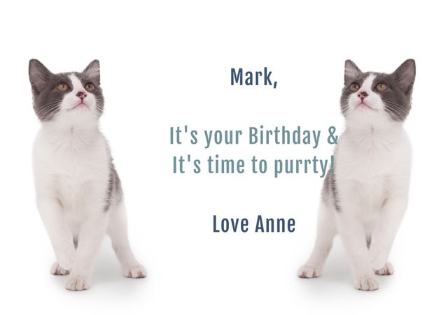 Playful Birthday Greeting With Two Adorable Cats - Download Free Stock Templates Pikwizard.com