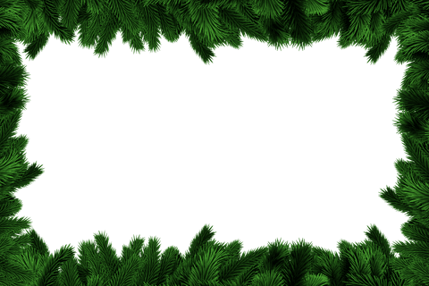 Transparent Evergreen Frame with Framed Forest Foliage - Download Free Stock Videos Pikwizard.com