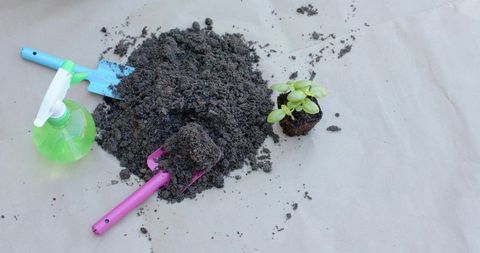 Planting seedling: potting soil mound with bright trowels and mist spray bottle