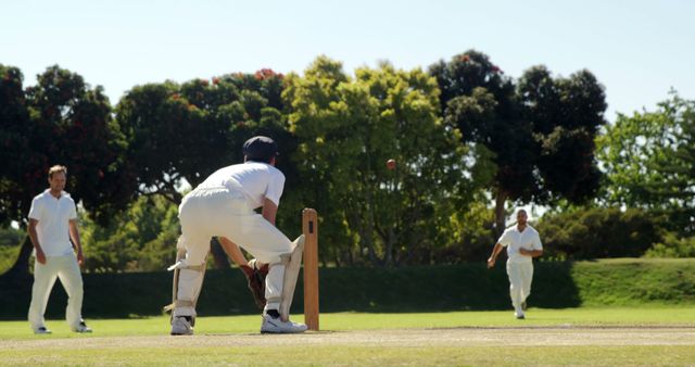 Amateur cricketers playing match on sunny day in park - Download Free Stock Images Pikwizard.com