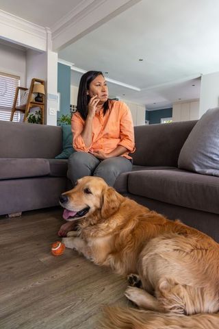 Thoughtful middle-aged asian woman sitting on sofa watching golden retriever with tennis ball