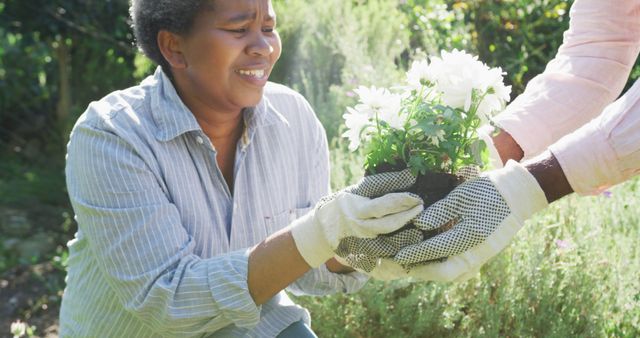 Senior Woman Gardening with Friend on a Sunny Day - Download Free Stock Images Pikwizard.com