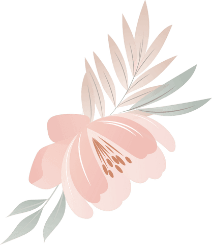 elegant pastel flower with delicate leaves on transparent background - Download Free Stock Videos Pikwizard.com
