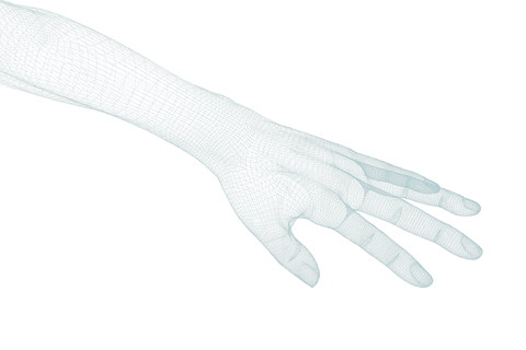 transparent 3d render hand with polygonal mesh detail - Download Free Stock Videos Pikwizard.com